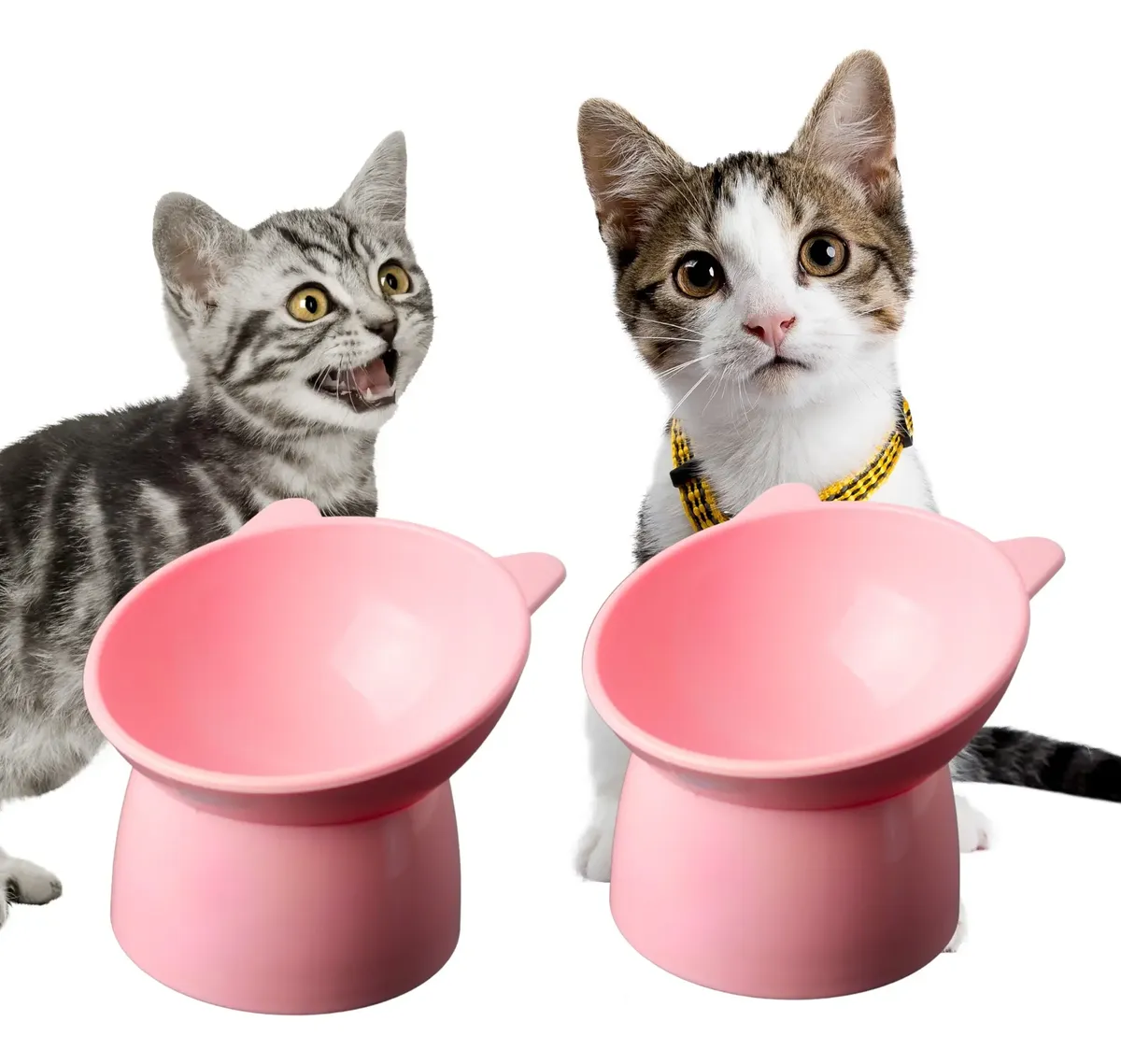 Kit 2 Comedouro Bebedouro Postura Correta Elevado Gatinho