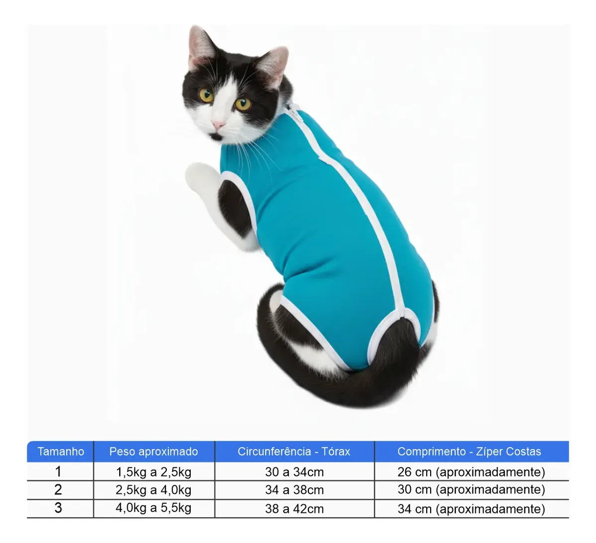 Roupa Pós Cirúrgica Gatos Castração Operatória Tamanho 1 2 3 COR AZUL - Image 3
