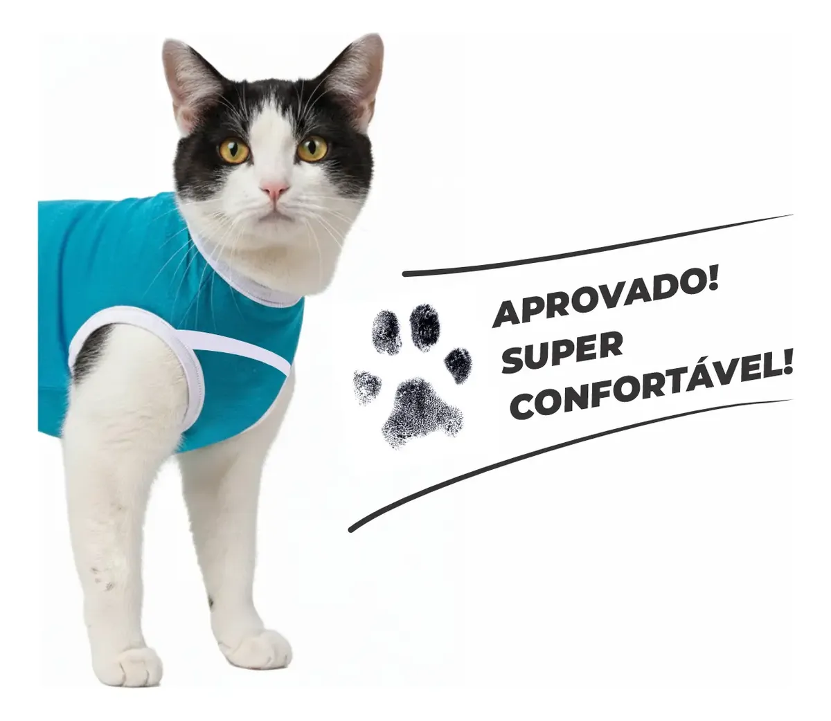 Roupa Pós Cirúrgica Gatos Castração Operatória Tamanho 1 2 3 COR AZUL - Image 5