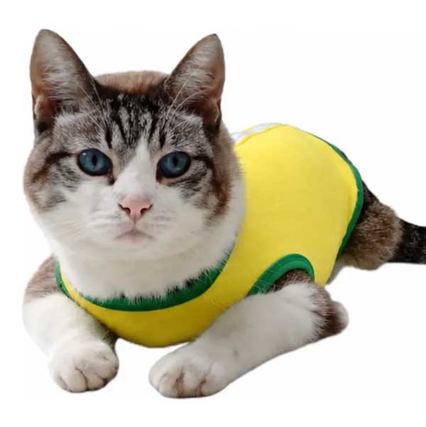Roupa Pós Cirúrgica Para Gatos (fêmeas) - Tamanho 1, 2, 3 - Image 2
