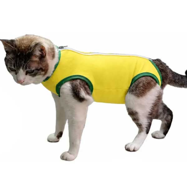 Roupa Pós Cirúrgica Para Gatos (fêmeas) - Tamanho 1, 2, 3