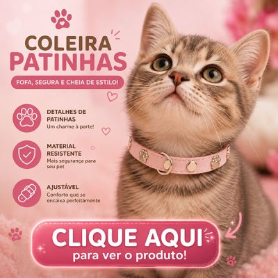 Coleira-para-gatos-linda-Mercado-Livre